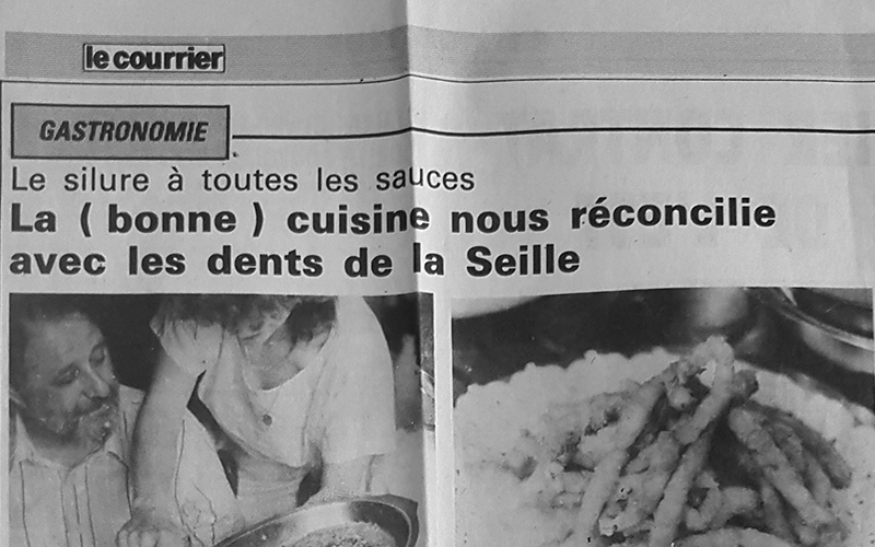 Les dents de la Seille (Silure)